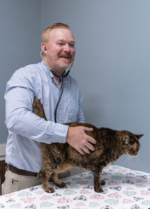 Dr. Bryan Hayter examining a cat at Aliso Beach Animal Clinic in Laguna Beach
