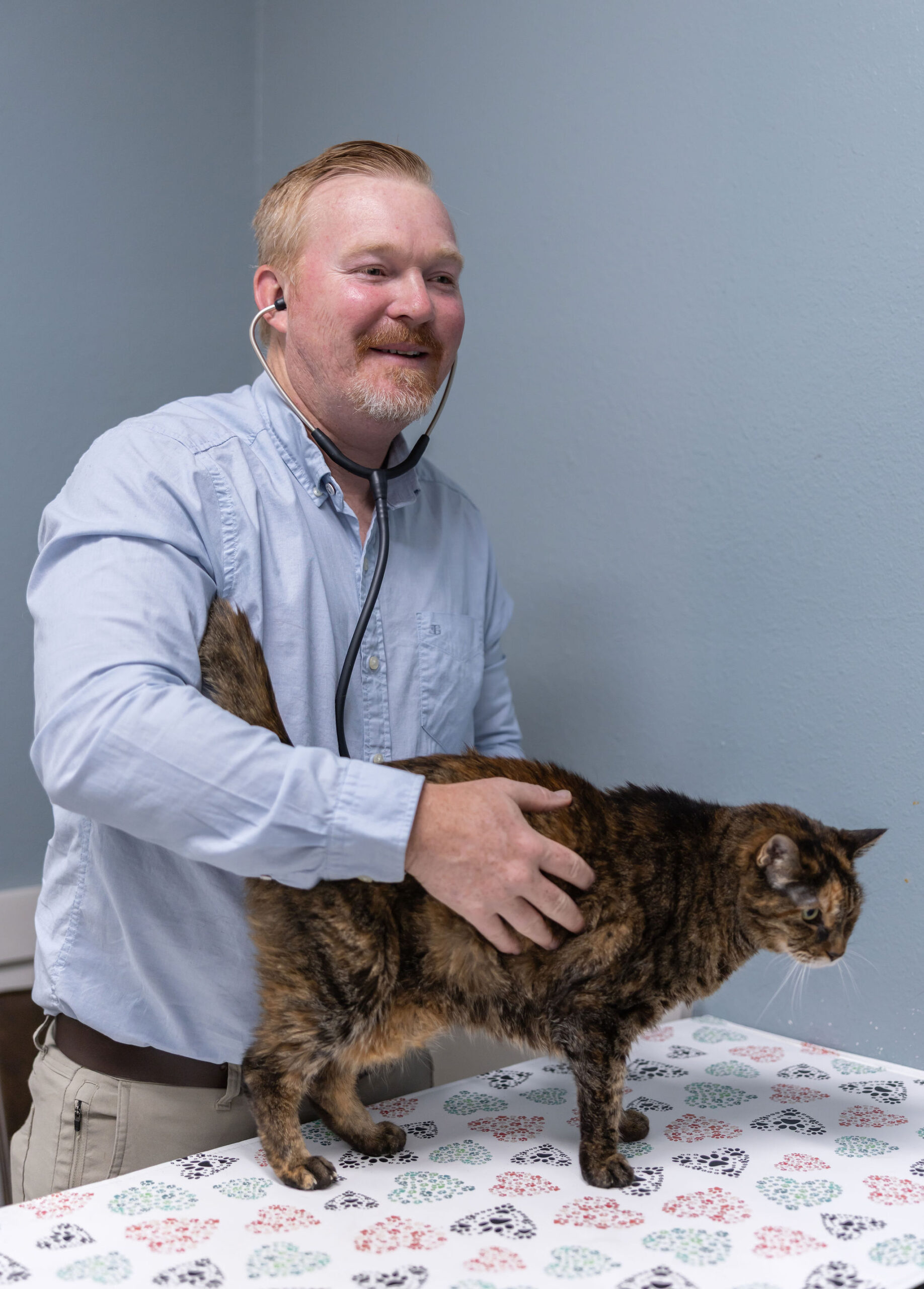 Dr. Bryan Hayter examining a cat at Aliso Beach Animal Clinic in Laguna Beach