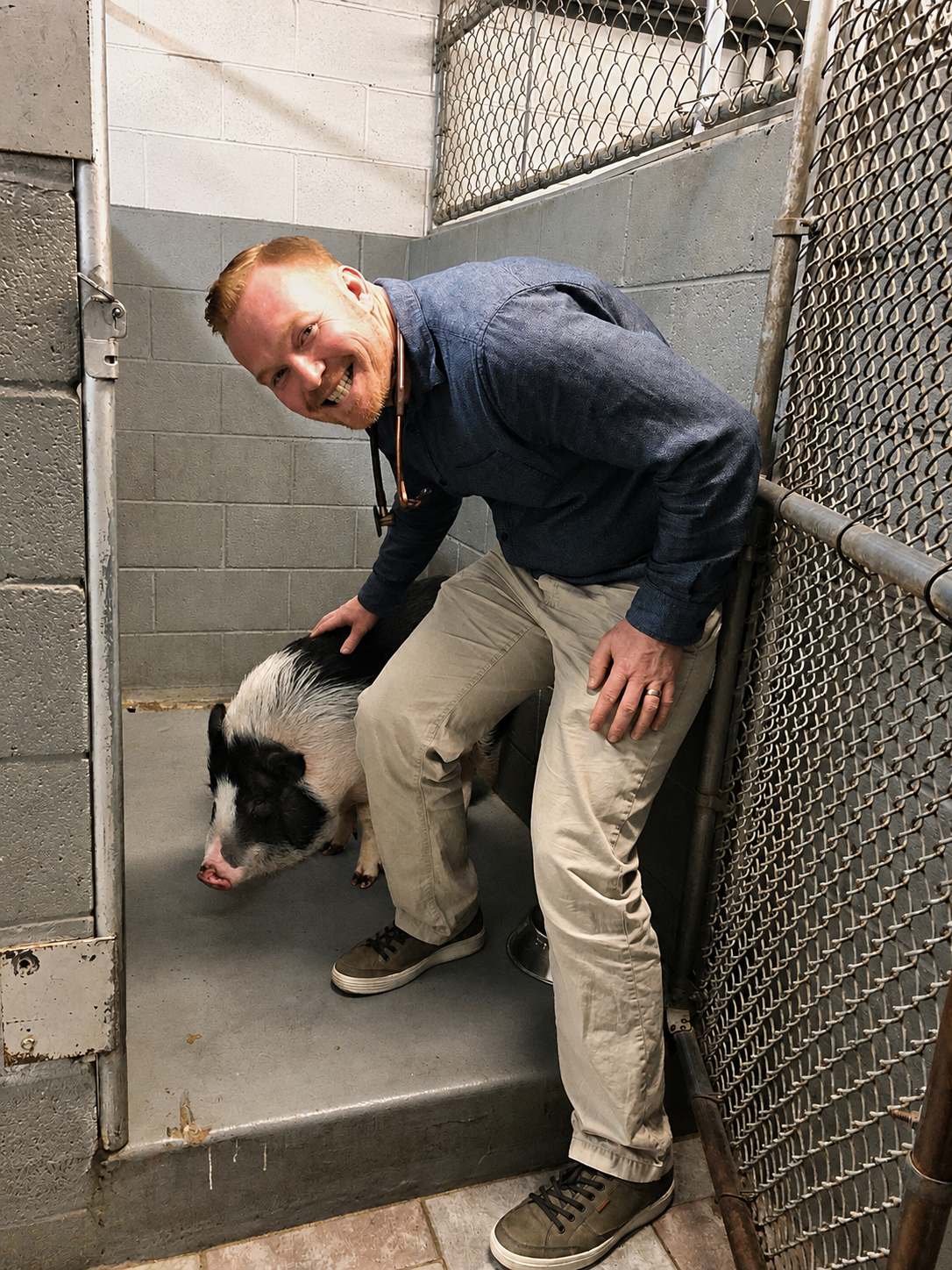 Dr. Bryan Hayter with a potbellied pig spay patient at Aliso Beach Animal Clinic in Laguna Beach