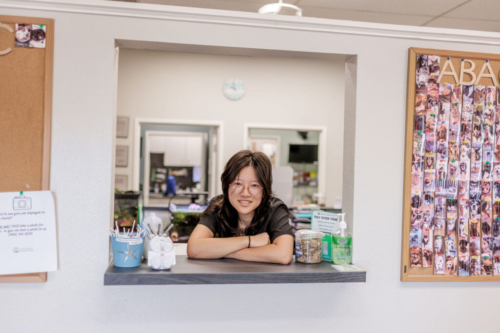 Front desk at Aliso Beach Animal Clinic in Laguna Beach