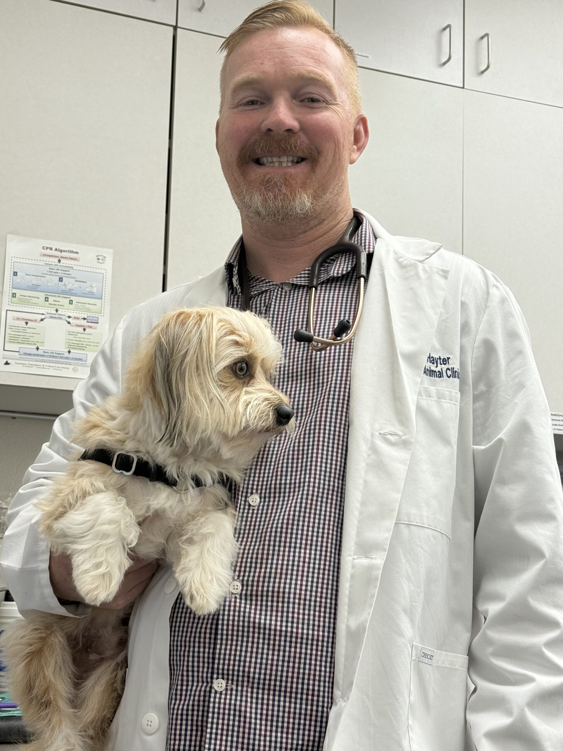 Aliso Beach Animal Clinic veterinarian holding a small dog in the hospital