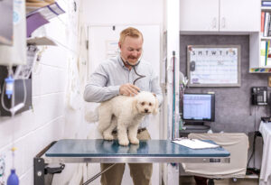 Dr. Bryan Hayter examining a dog at Aliso Beach Animal Clinic in Laguna Beach