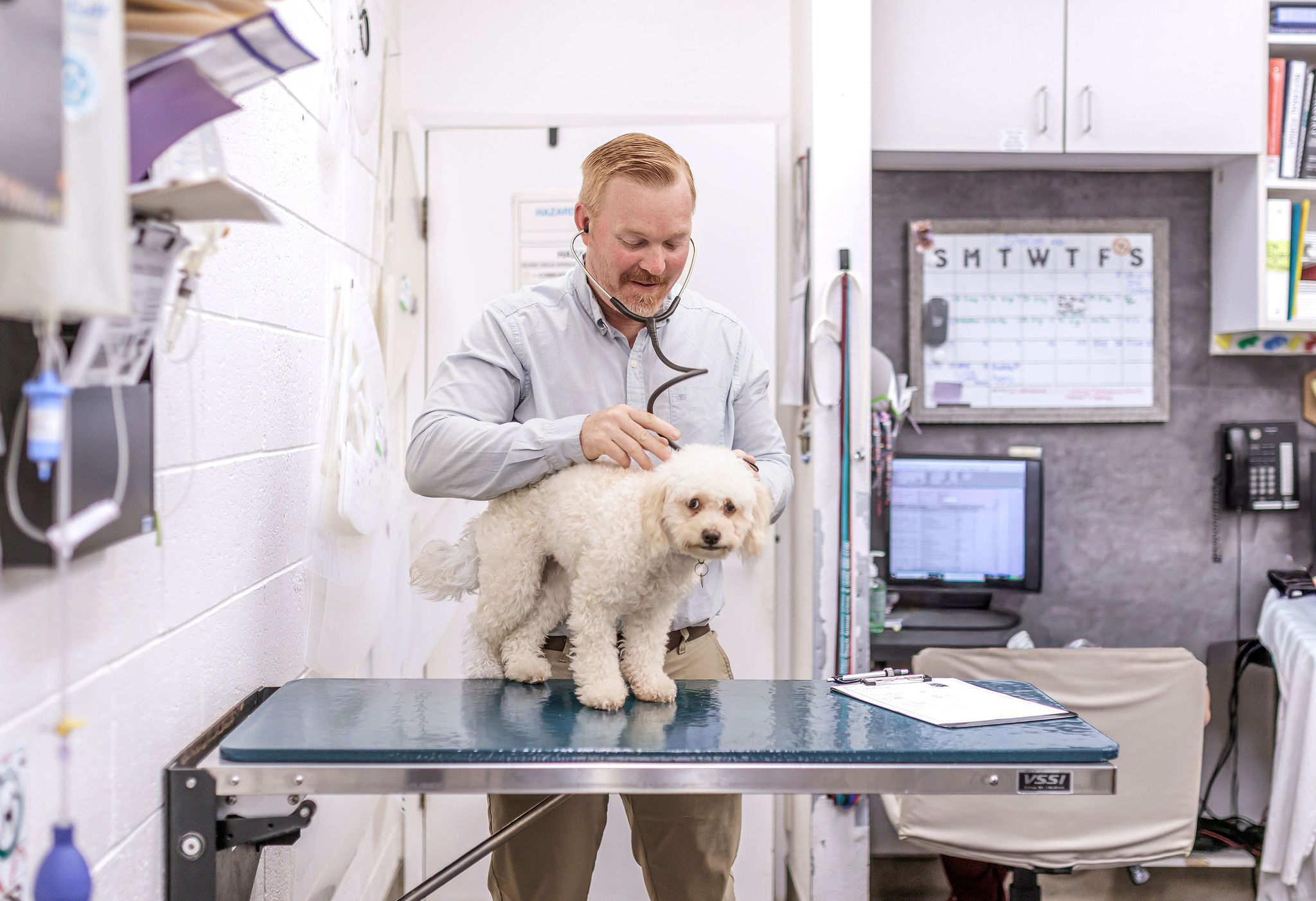 Dr. Bryan Hayter examining a dog at Aliso Beach Animal Clinic in Laguna Beach